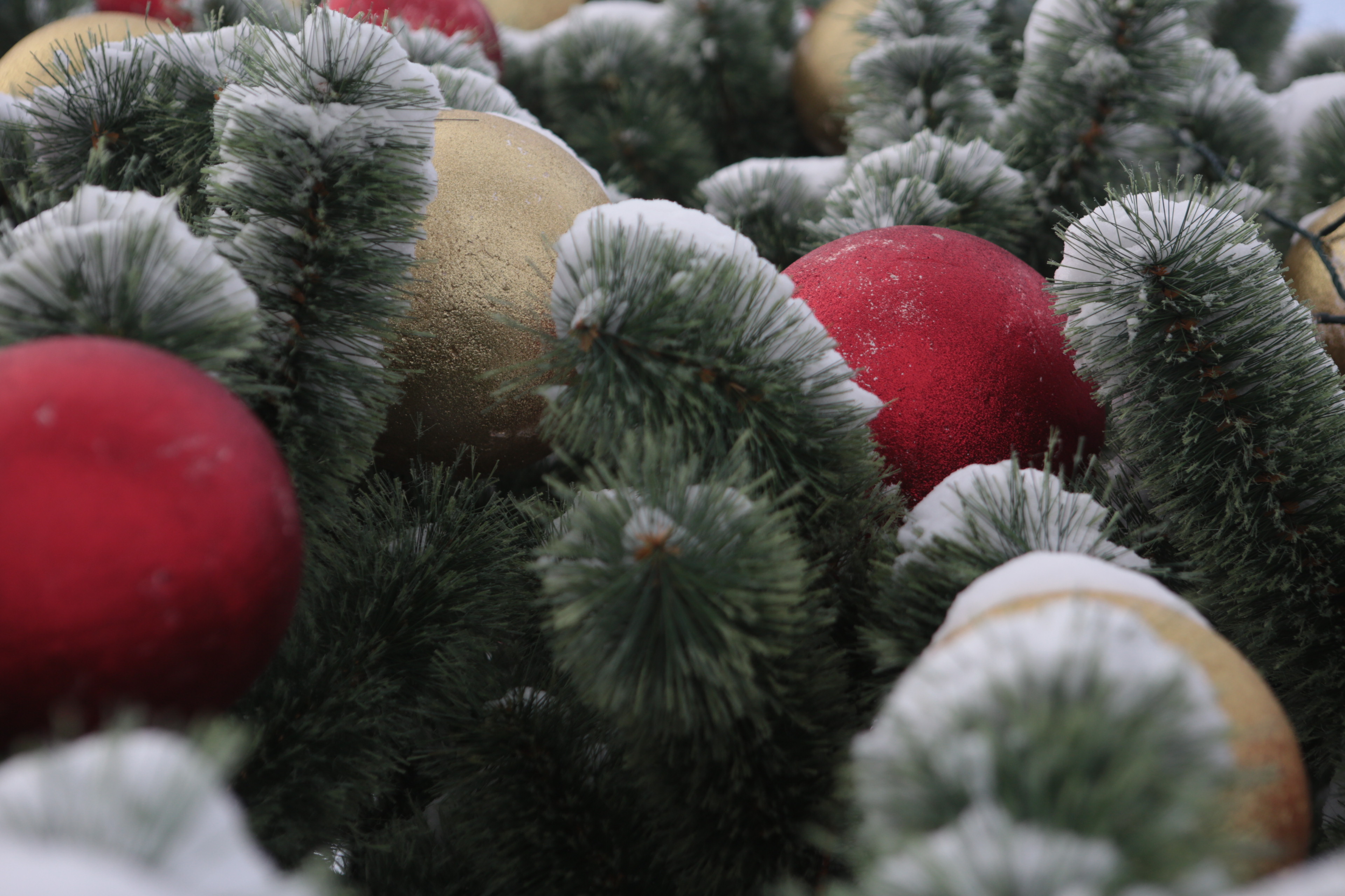 Ёлка у ККК имени Маяковского