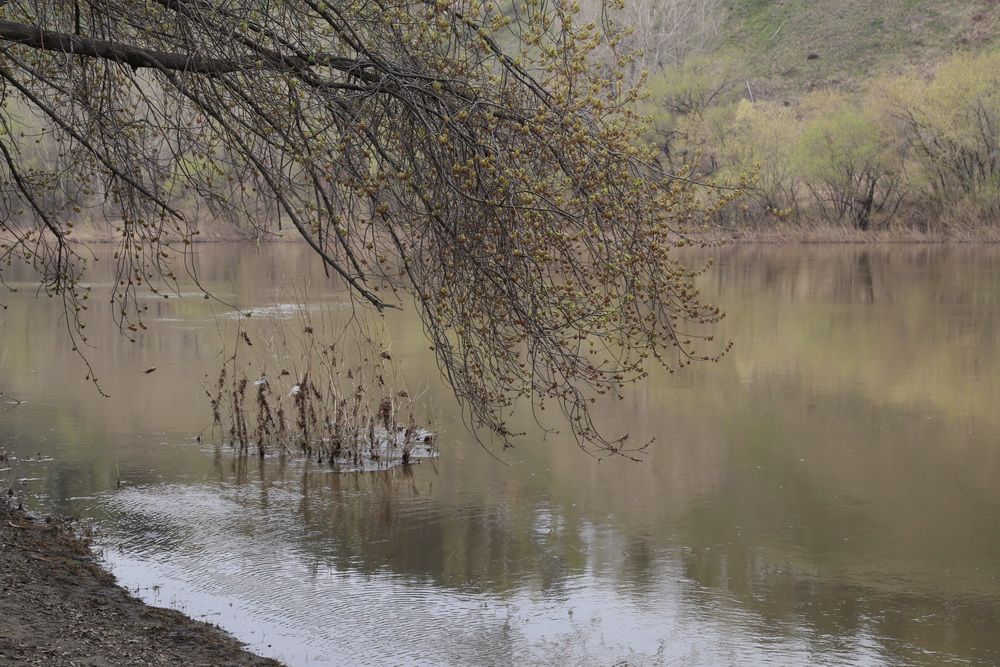 Как территория выглядит сейчас