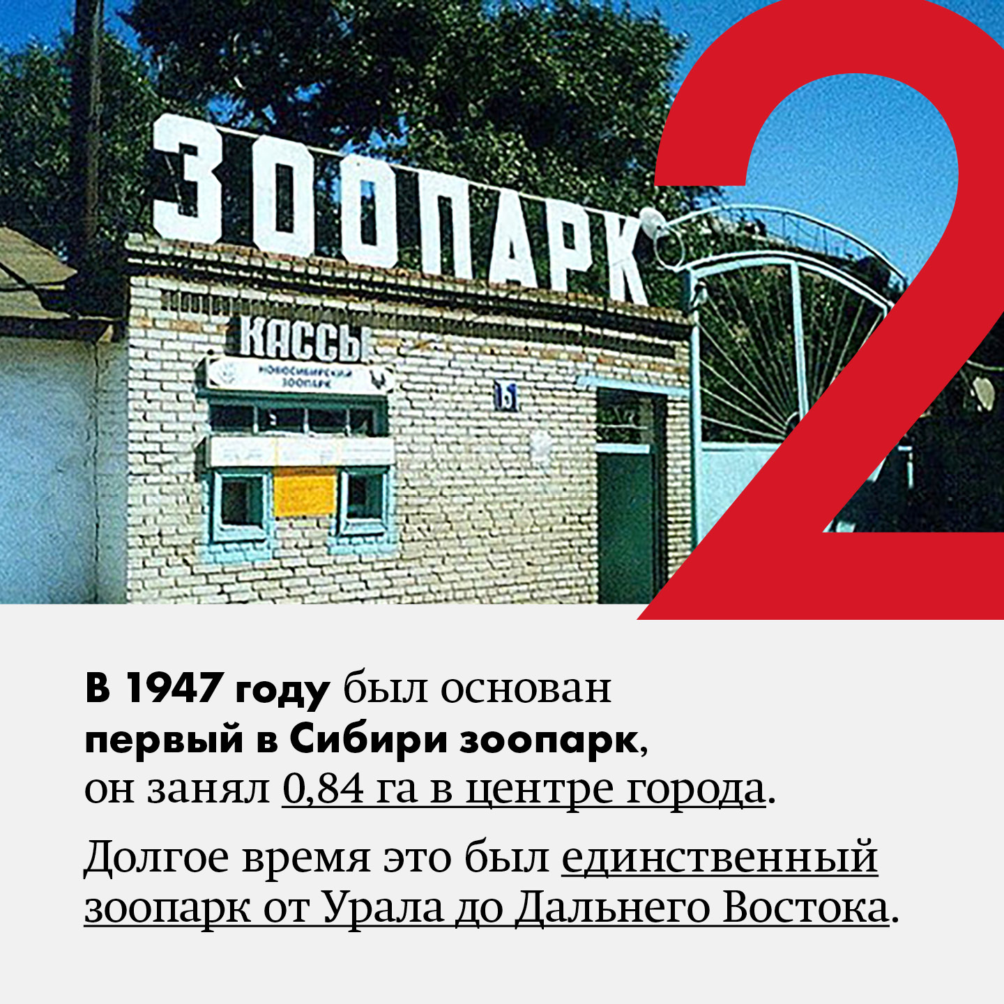 8 фактов про Новосибирский зоопарк