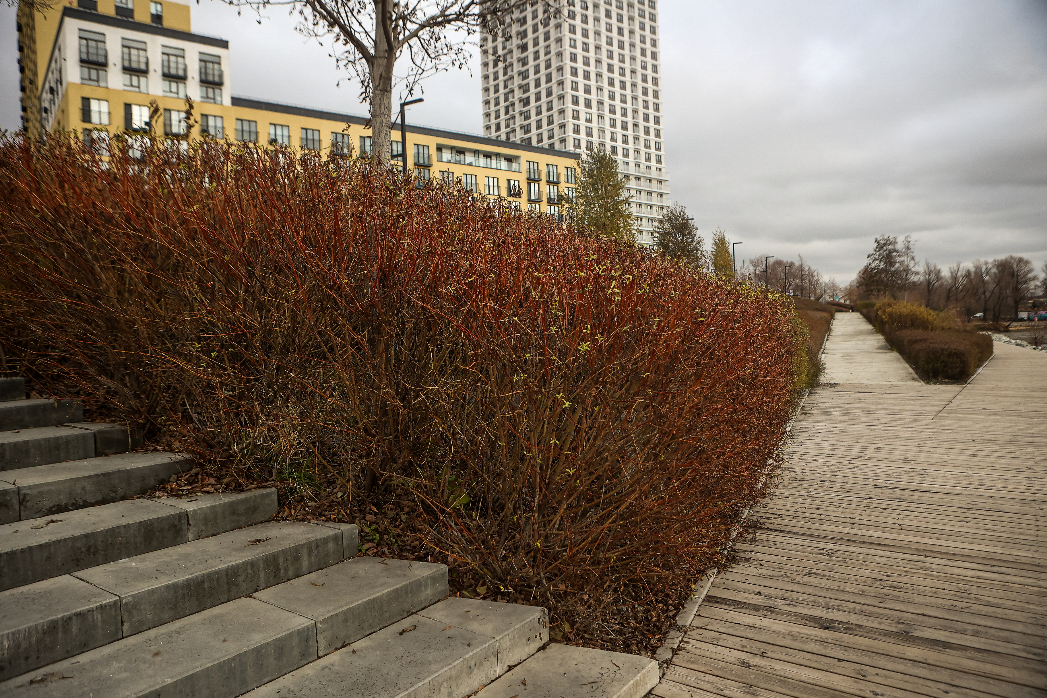 «Европейский берег»