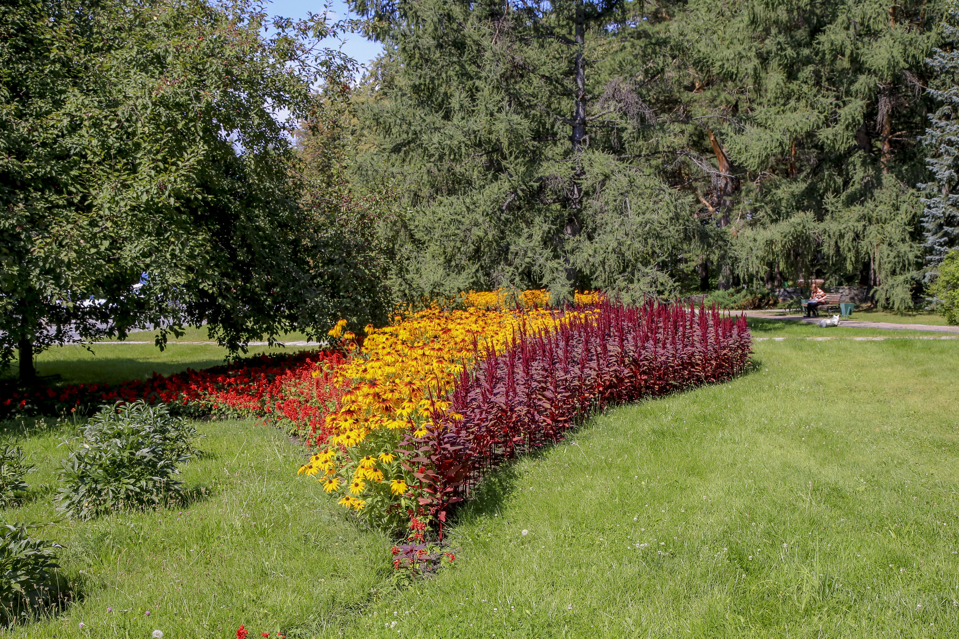 Клумба в парке имени Лаврентьева