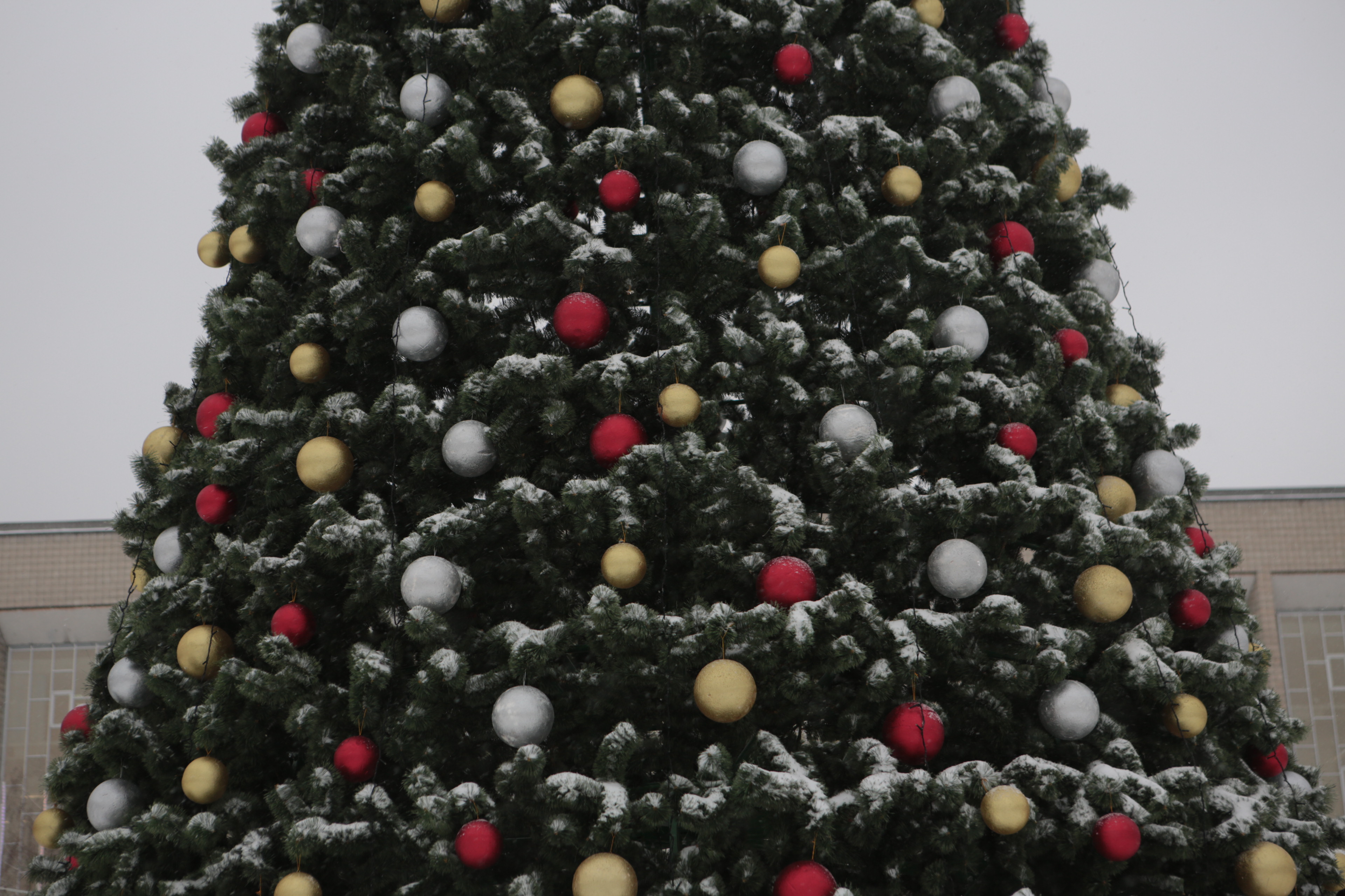 Ёлка у ГПНТБ