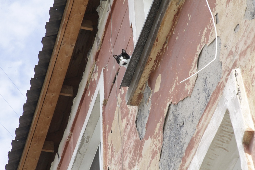 Соцгород завода имени Чкалова (ул. Авиастроителей)