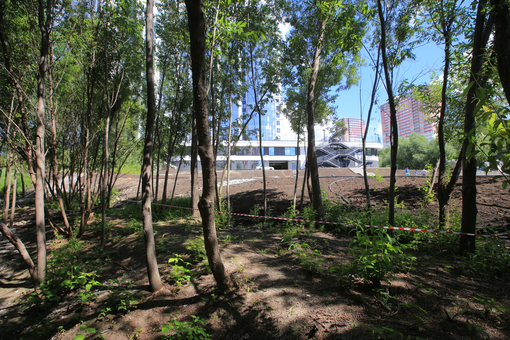 Благоустройство будущего парка в пойме Ельцовки. Июль 2022 года