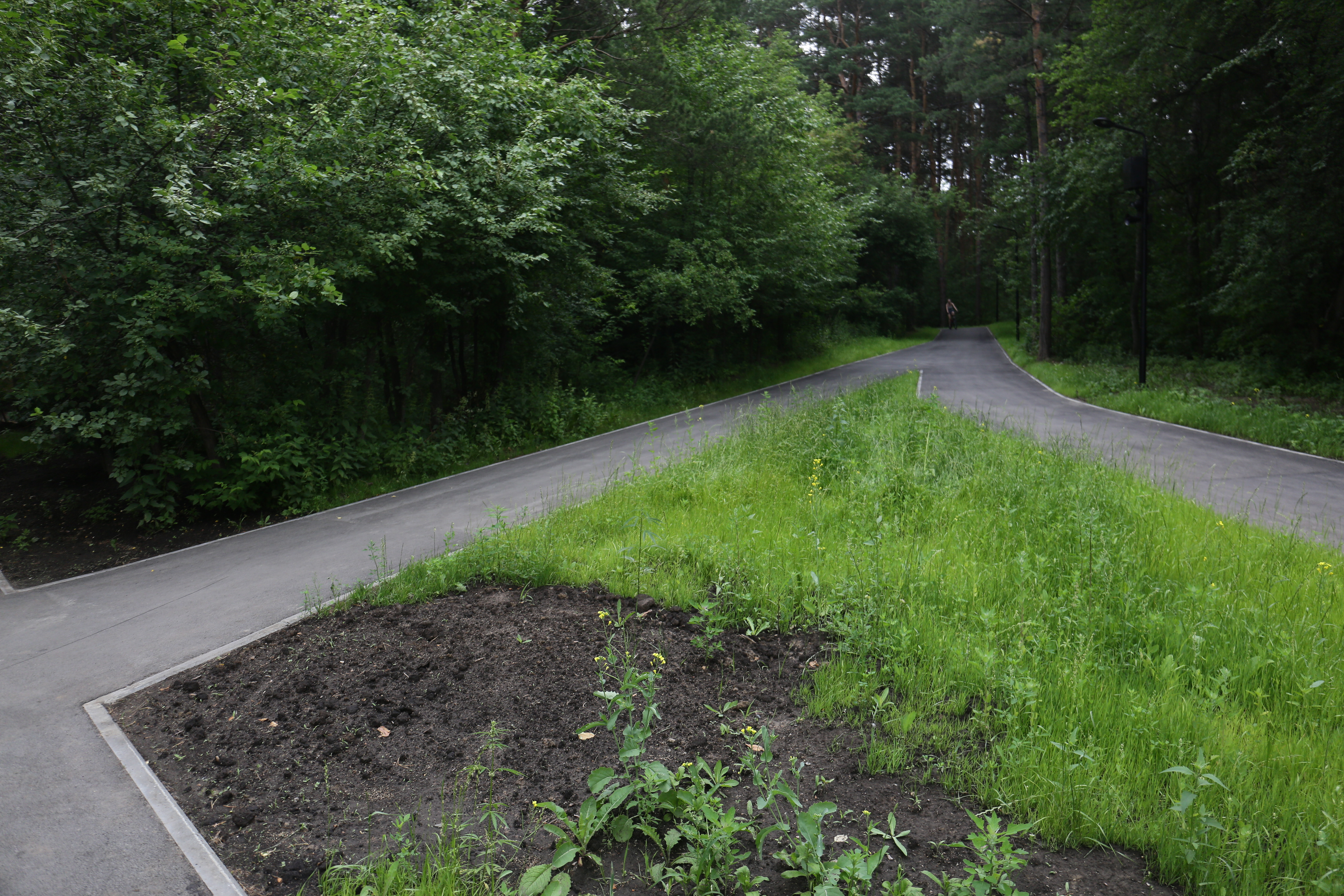 Заельцовский парк после реконструкции. Июнь 2022 года