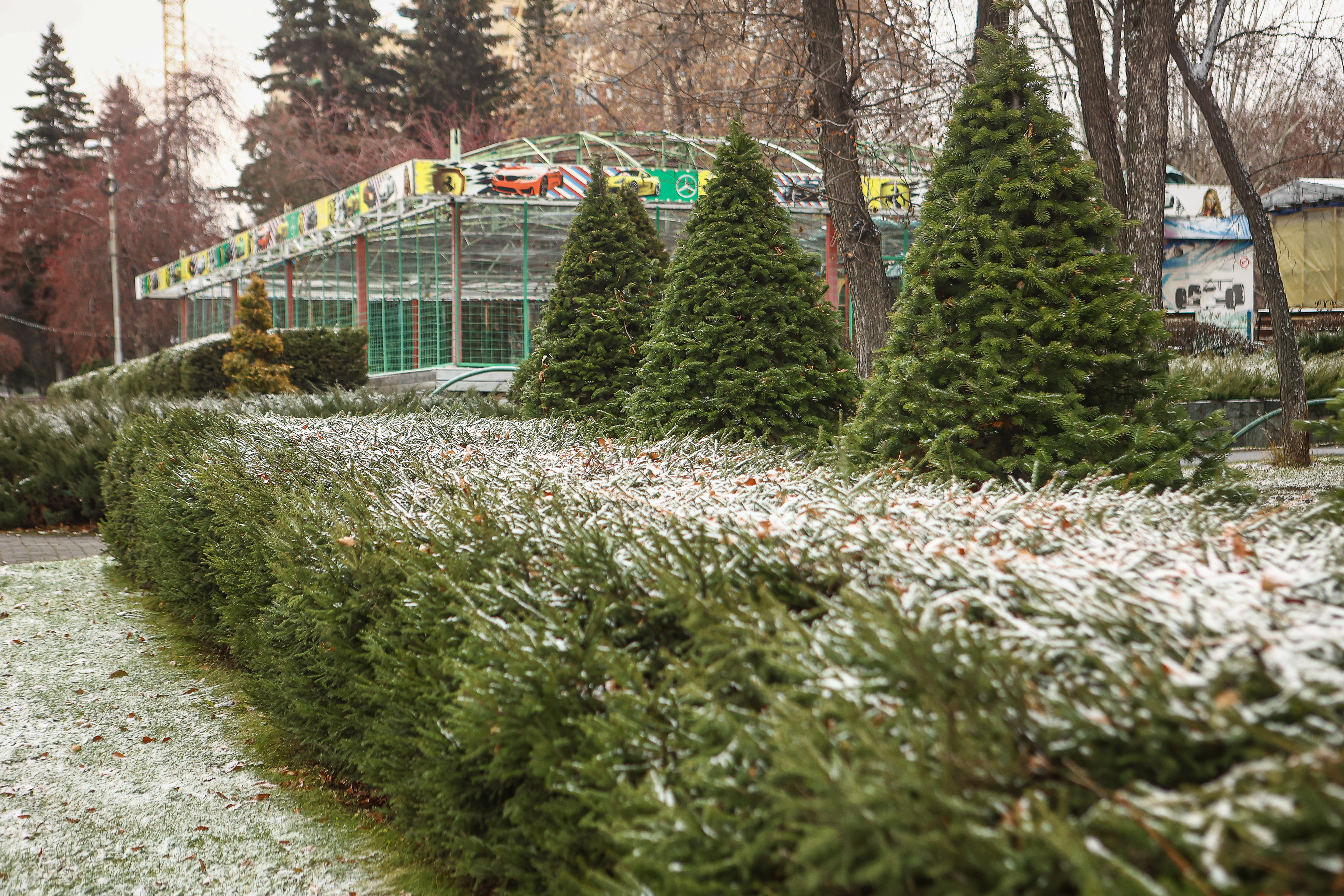 Парк имени Кирова