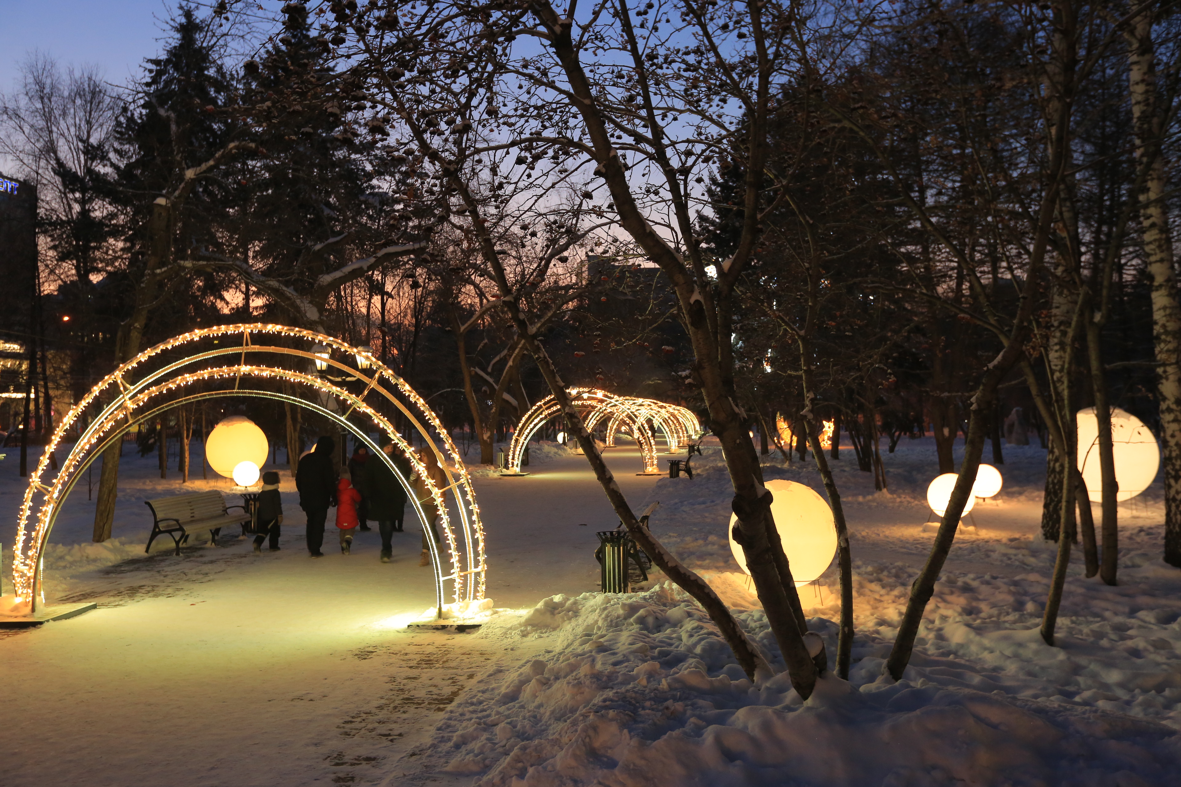Новосибирск новогодний: Первомайский сквер