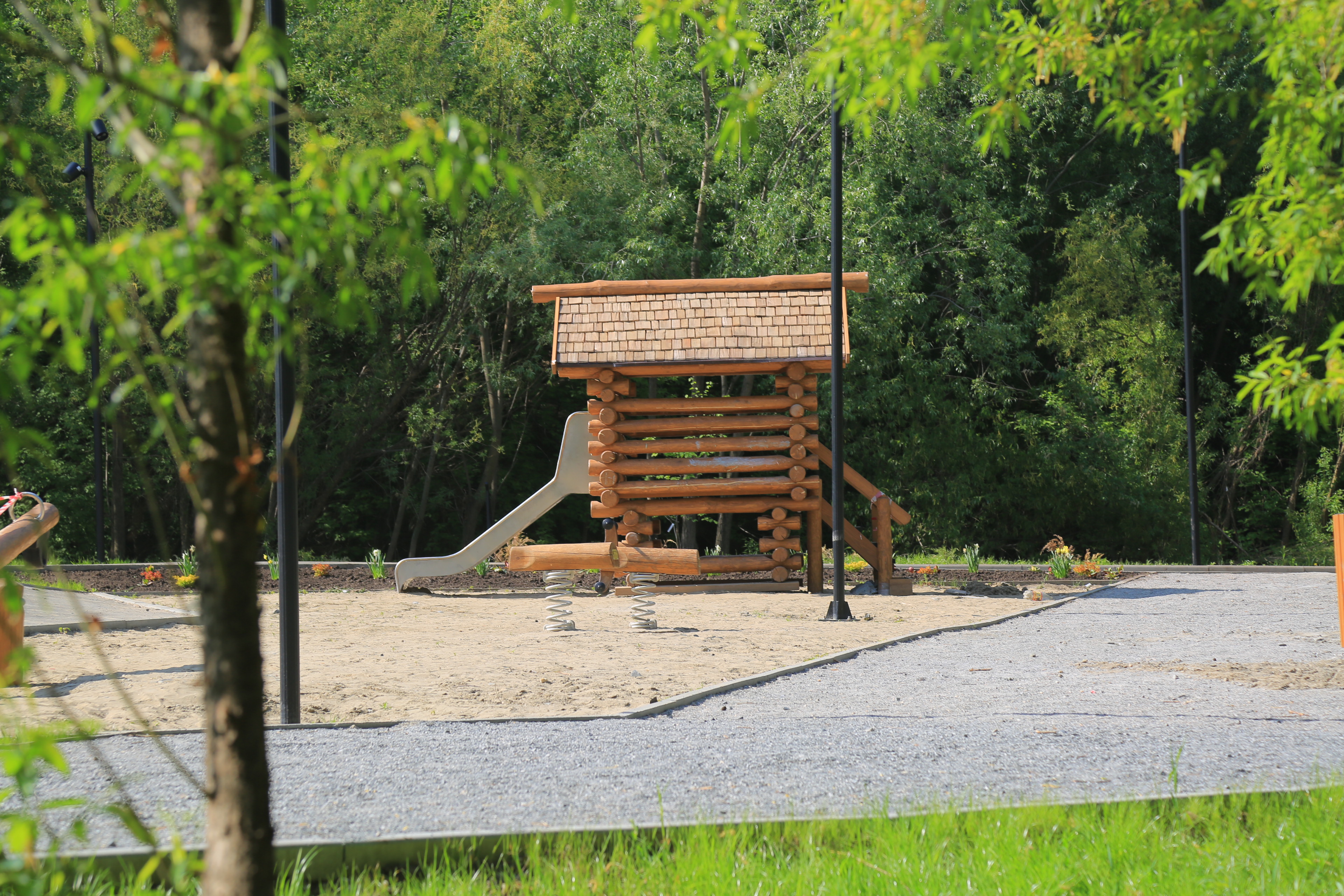 Ельцовский парк (июнь 2023 года)