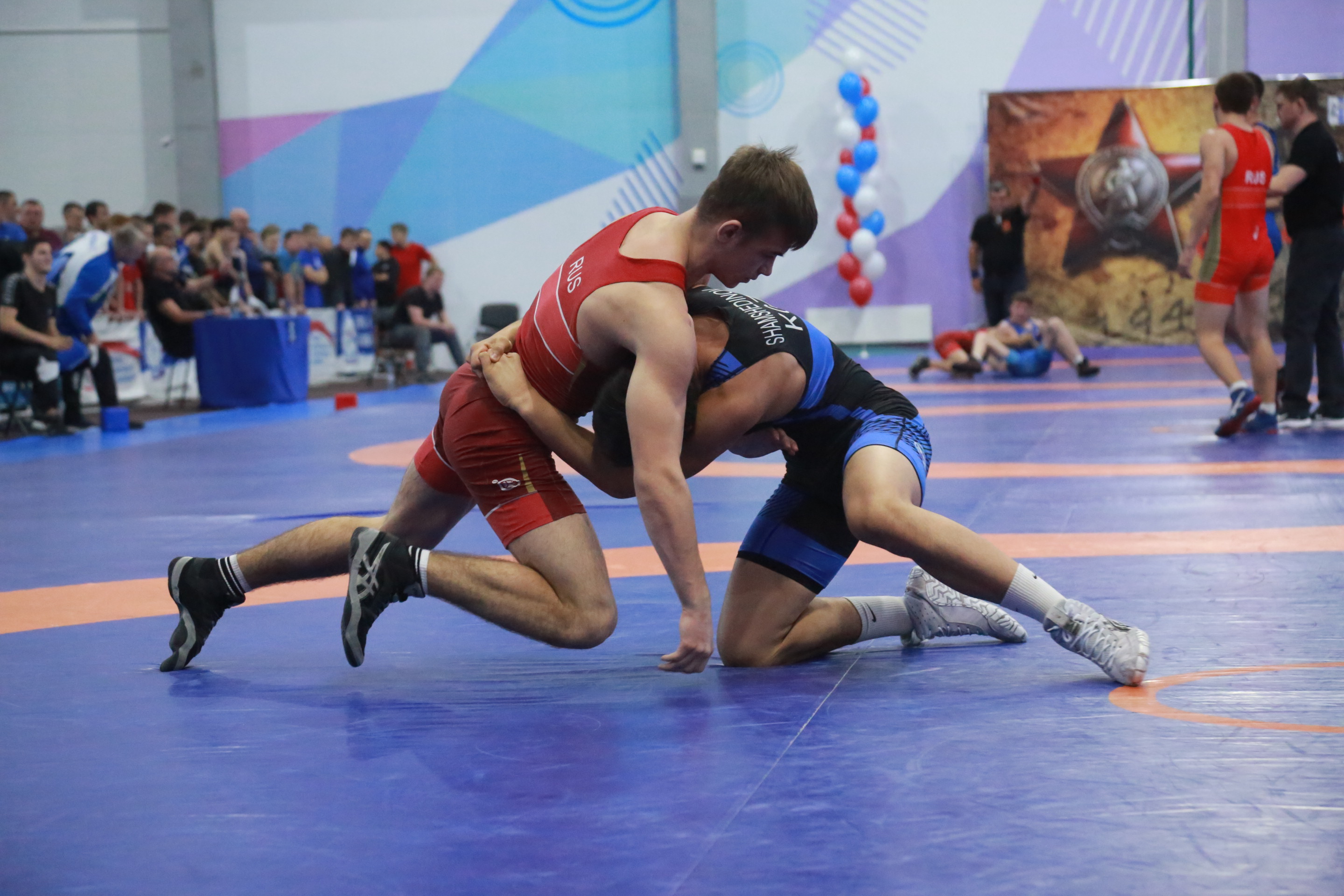 Турнир по греко-римской борьбе «Центр державы». Новосибирск, ноябрь 2022 года