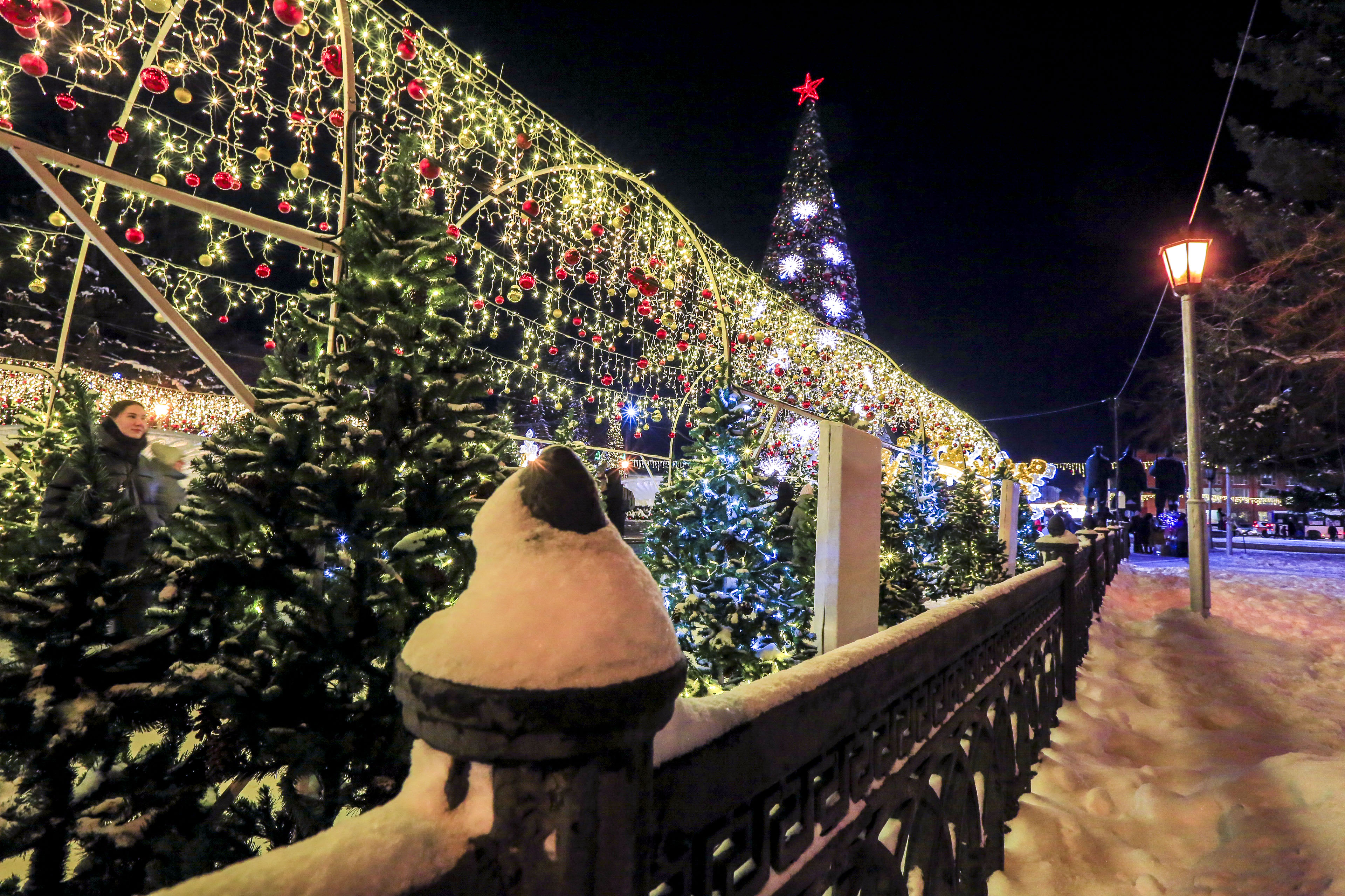 Новосибирск новогодний: Театральный сквер