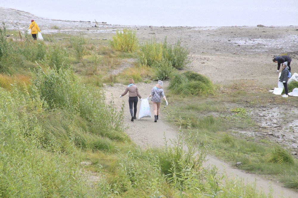 Сбор мусора на берегу Оби. Октябрь 2021 года