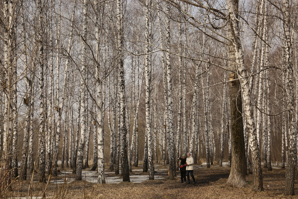 Пойма реки Каменки. Апрель 2022 года