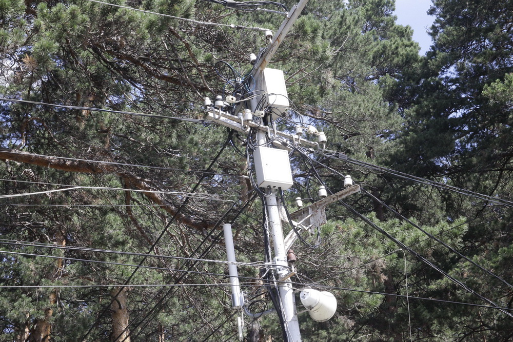 Реконструкция Заельцовского парка. Июль 2021 года