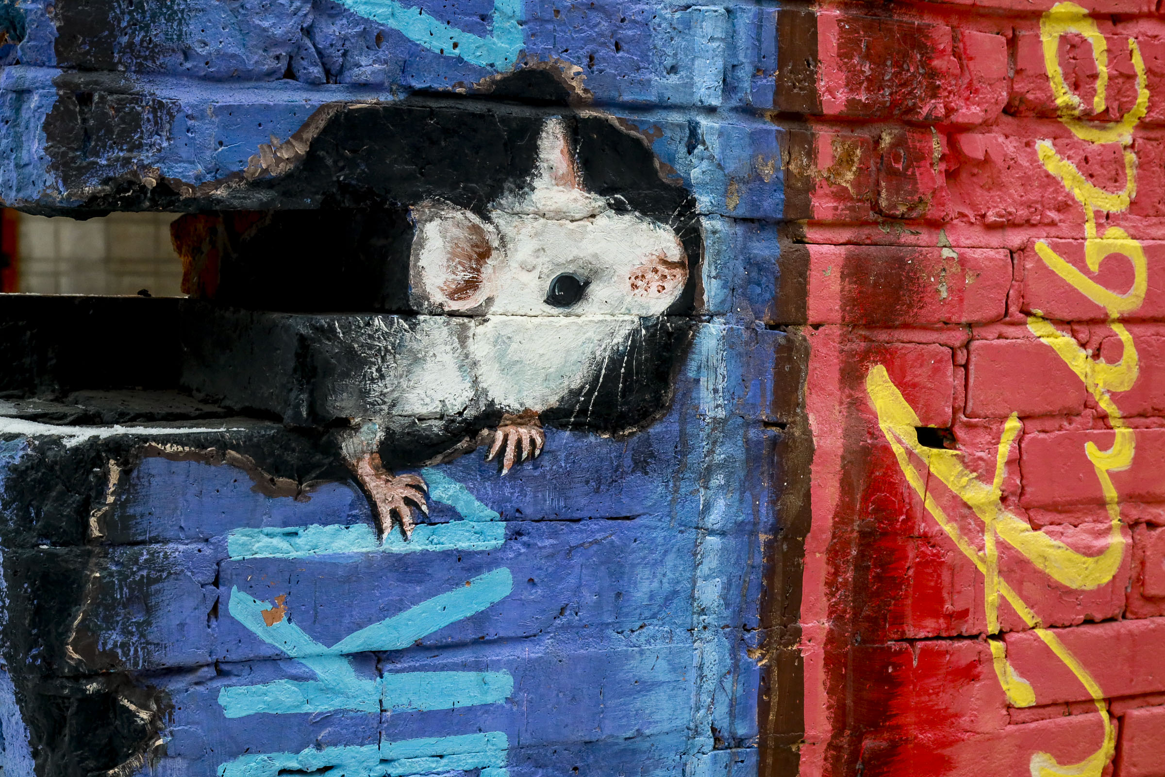 Улица Арбузова, 1