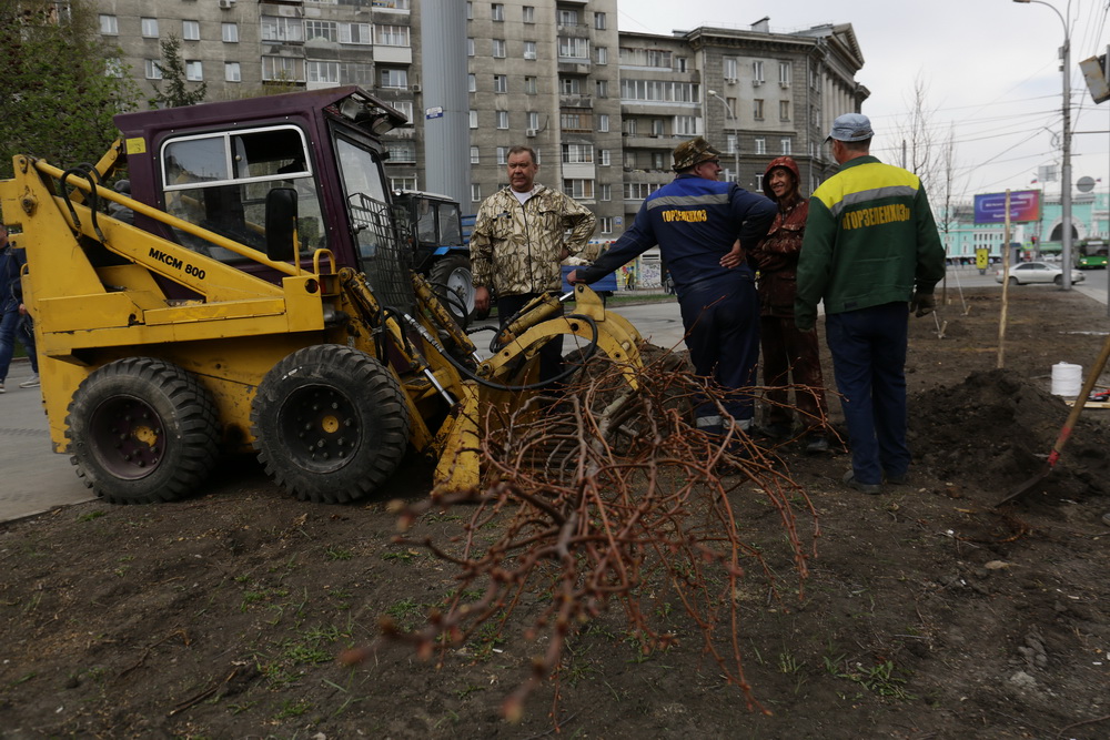 Высадка лип на Вокзальной магистрали. Май 2022 года