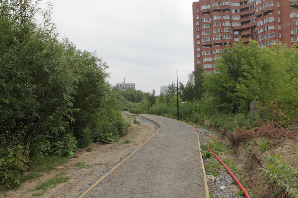 Будущий парк у Каменки. Июль 2023 года