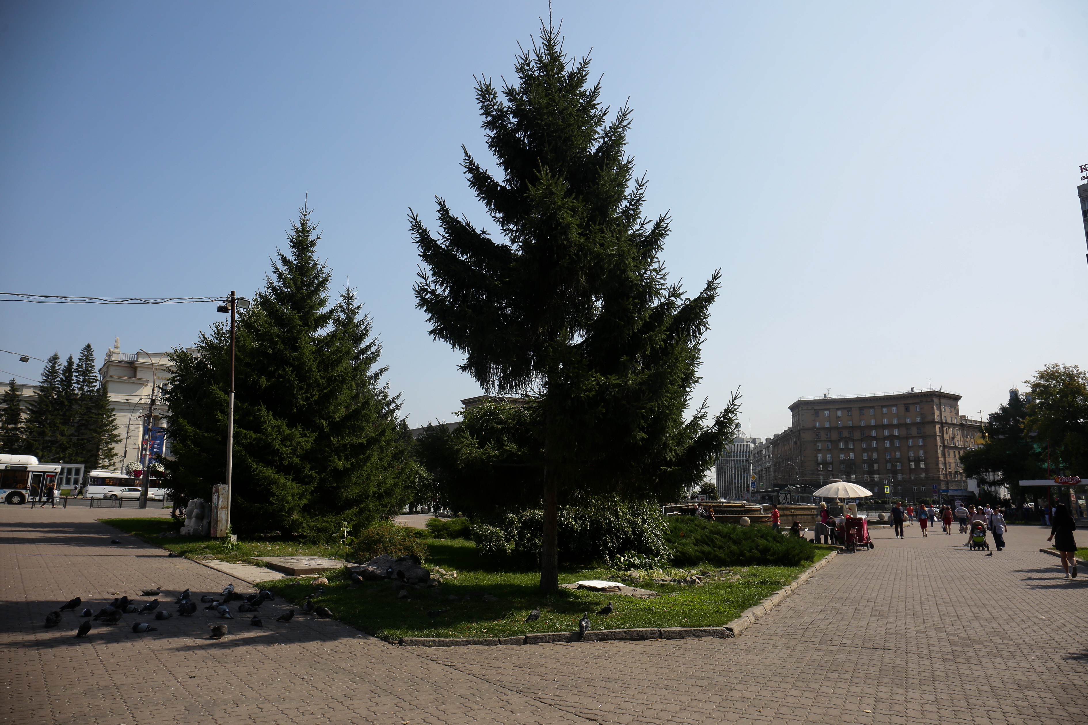 Первомайский сквер. Август 2021 года