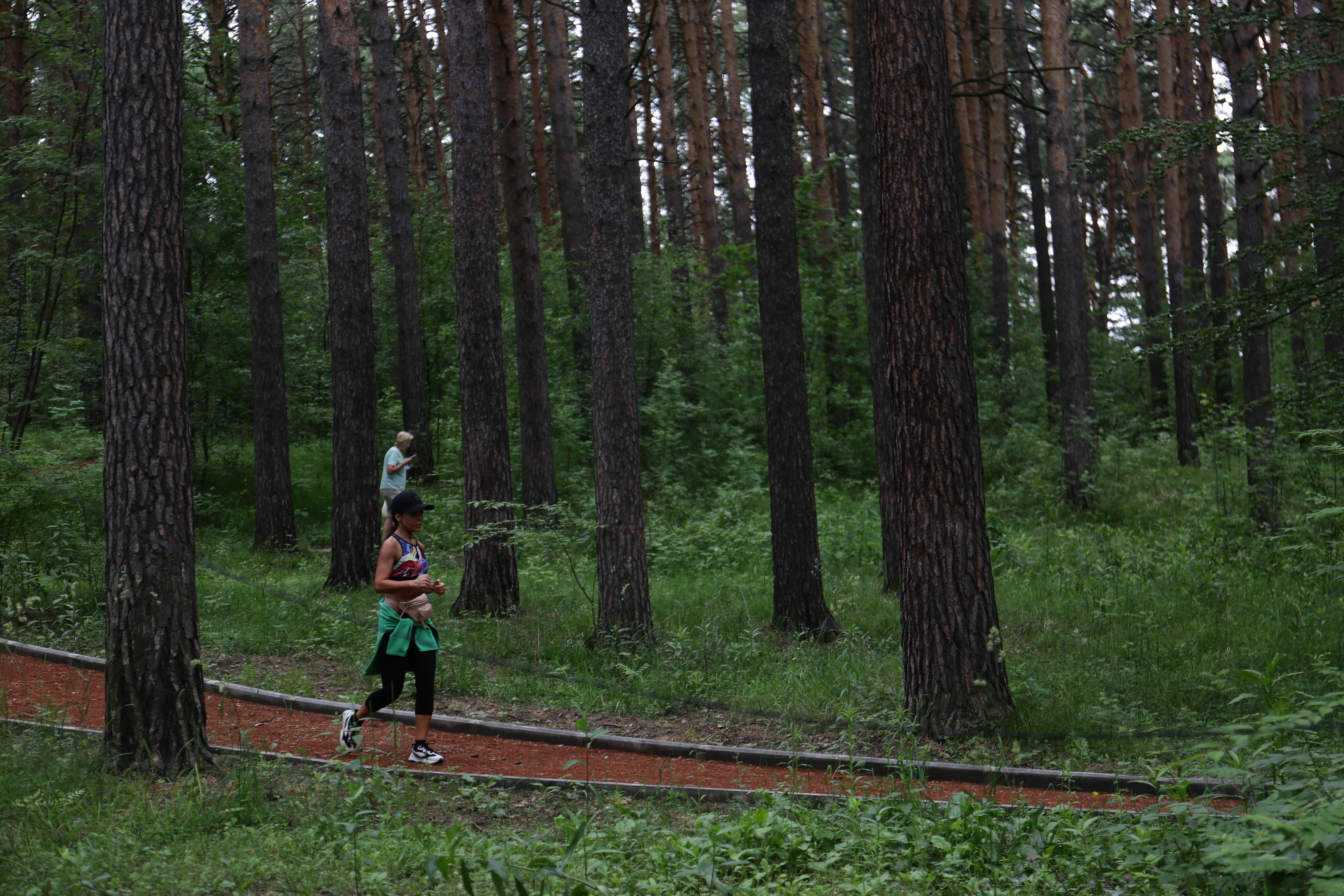 Заельцовский парк после реконструкции. Июнь 2022 года