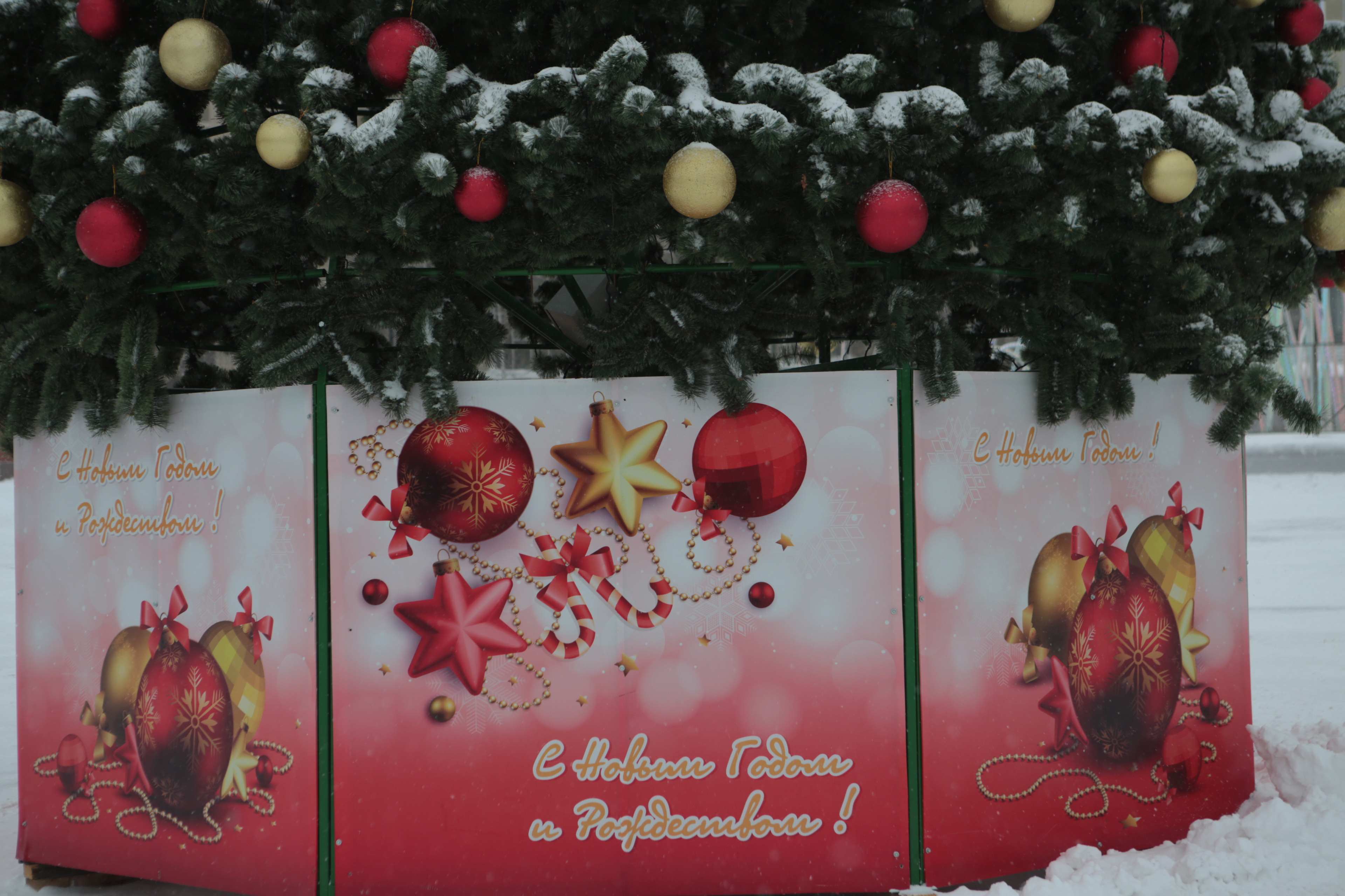 Ёлка у ГПНТБ