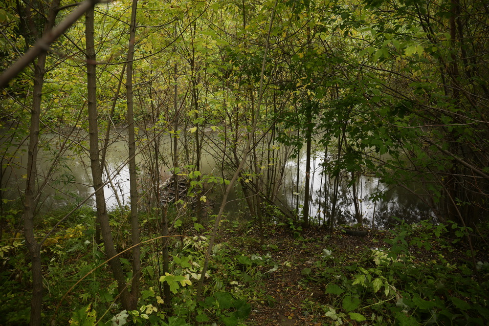 Обследование поймы Каменки. Сентябрь 2021 года