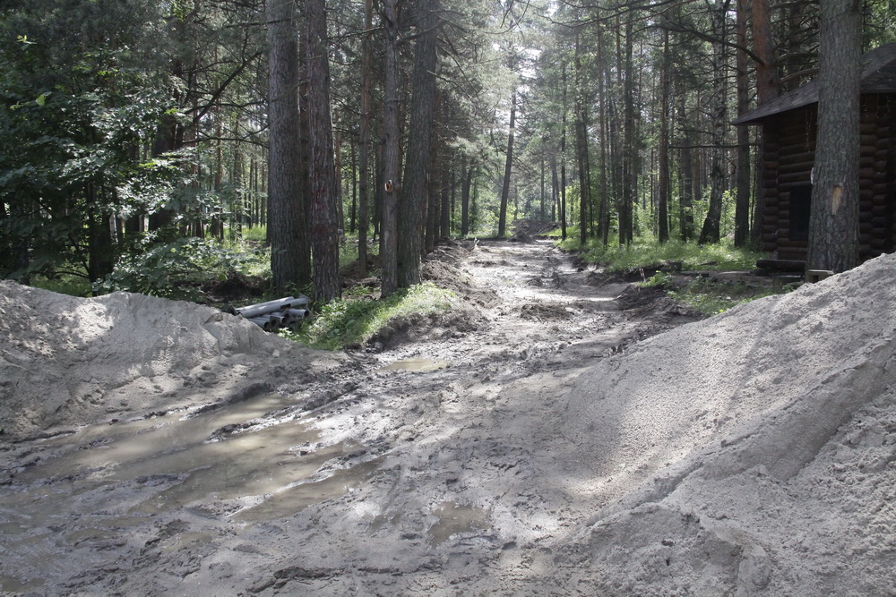 Реконструкция Заельцовского парка. Июль 2021 года