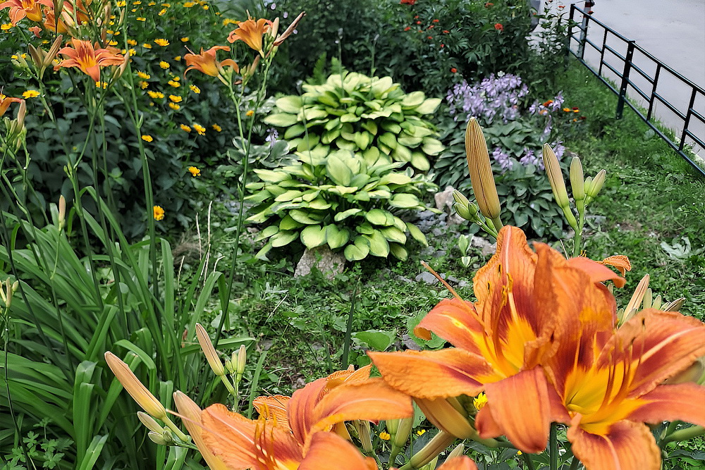 Ул. Выставочная, 32 (Ленинский район)