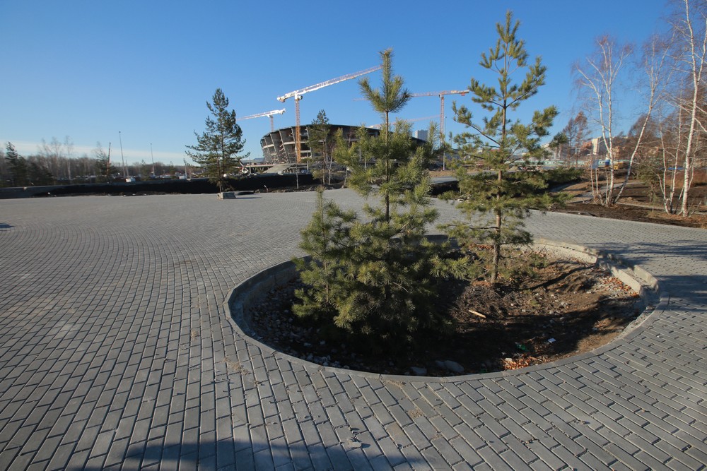 Создание парка возле нового ЛДС. Октябрь 2021 года