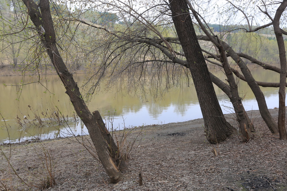 Как территория выглядит сейчас