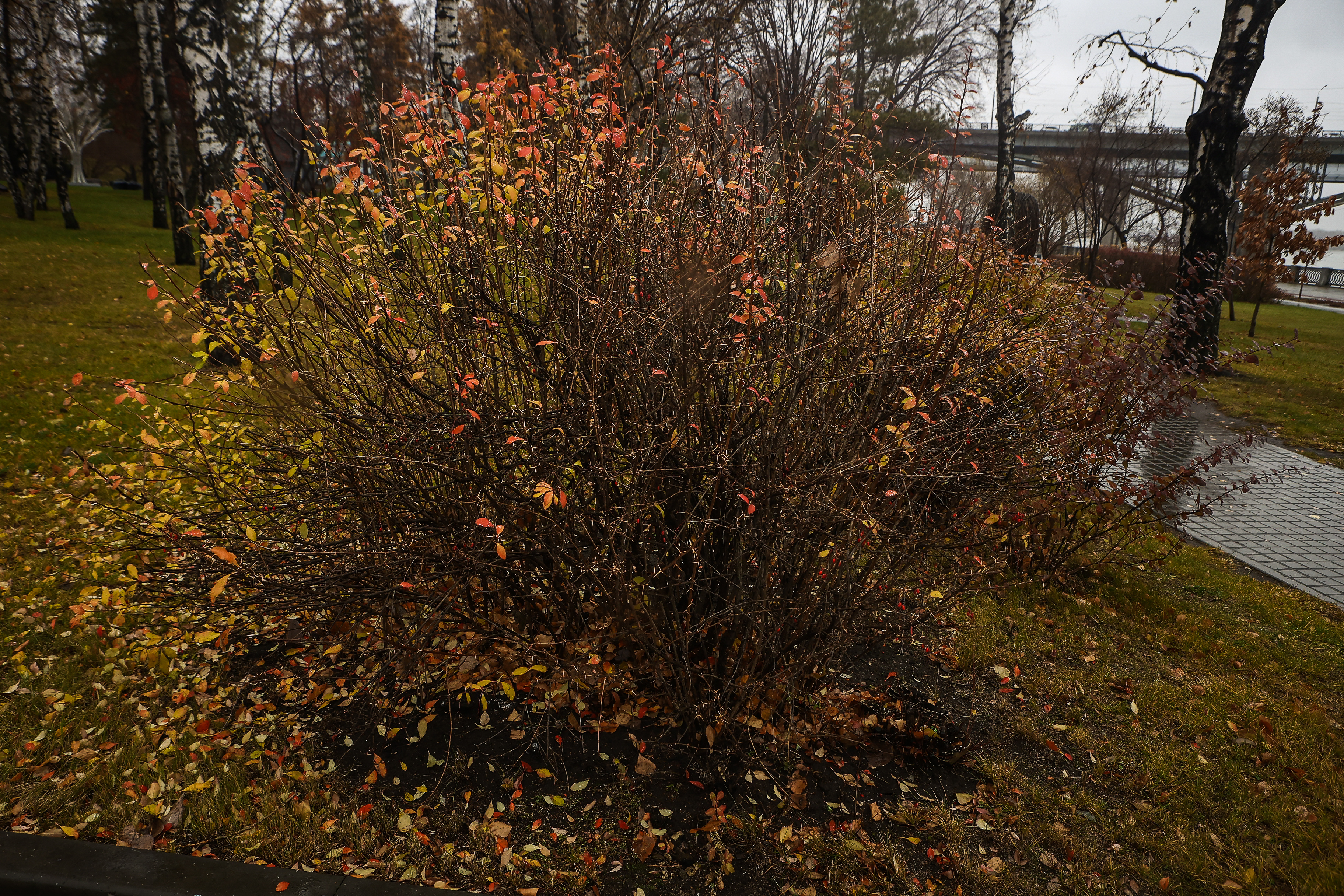 Михайловская набережная