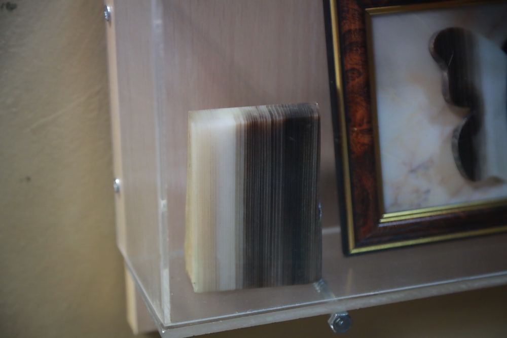 Окаменелое дерево