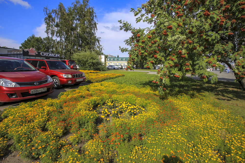 Клумба возле цирка