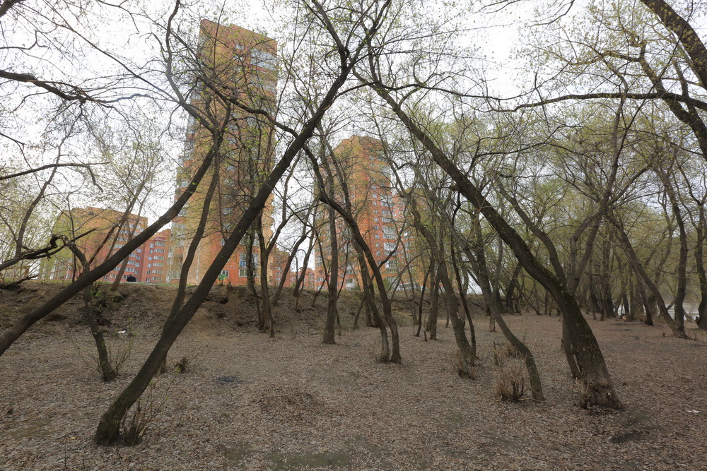 Как территория выглядит сейчас