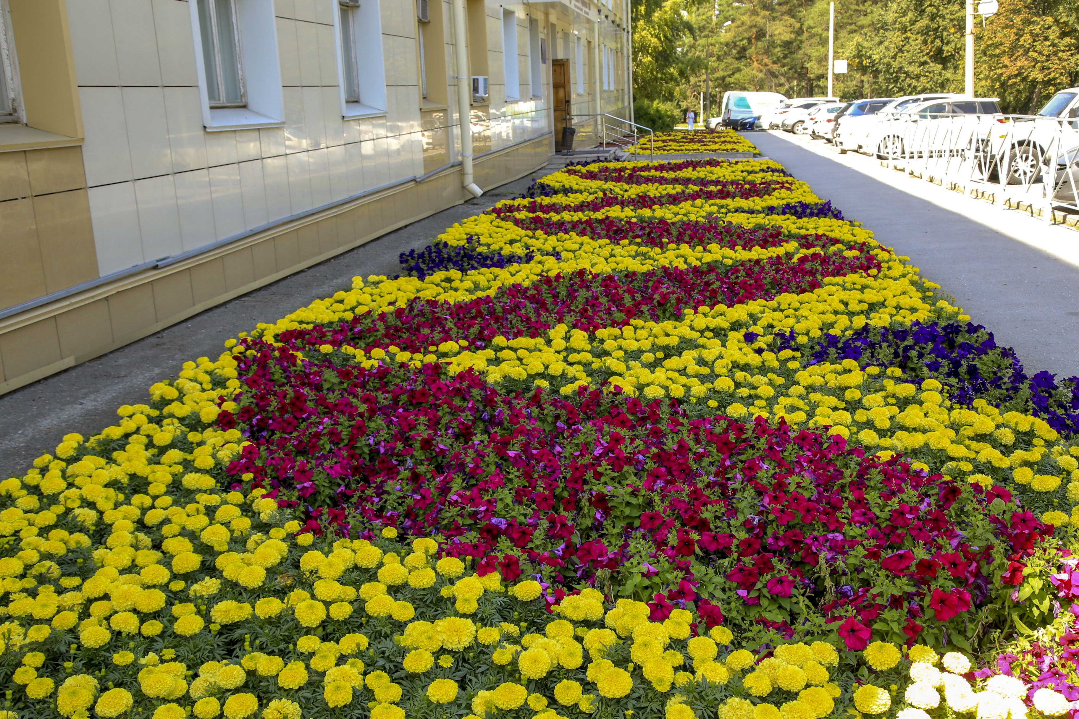 Клумба на Терешковой, 30