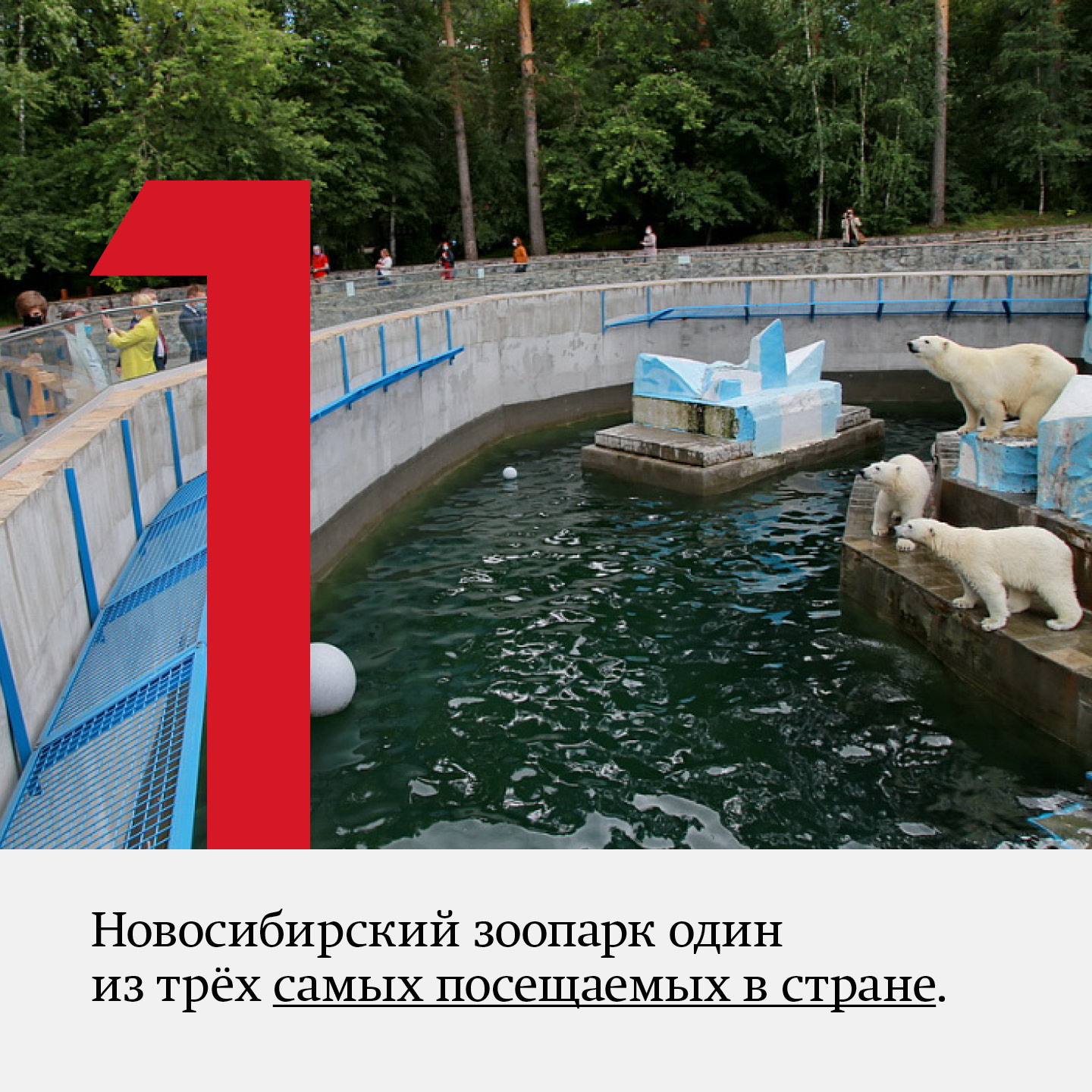 8 фактов про Новосибирский зоопарк