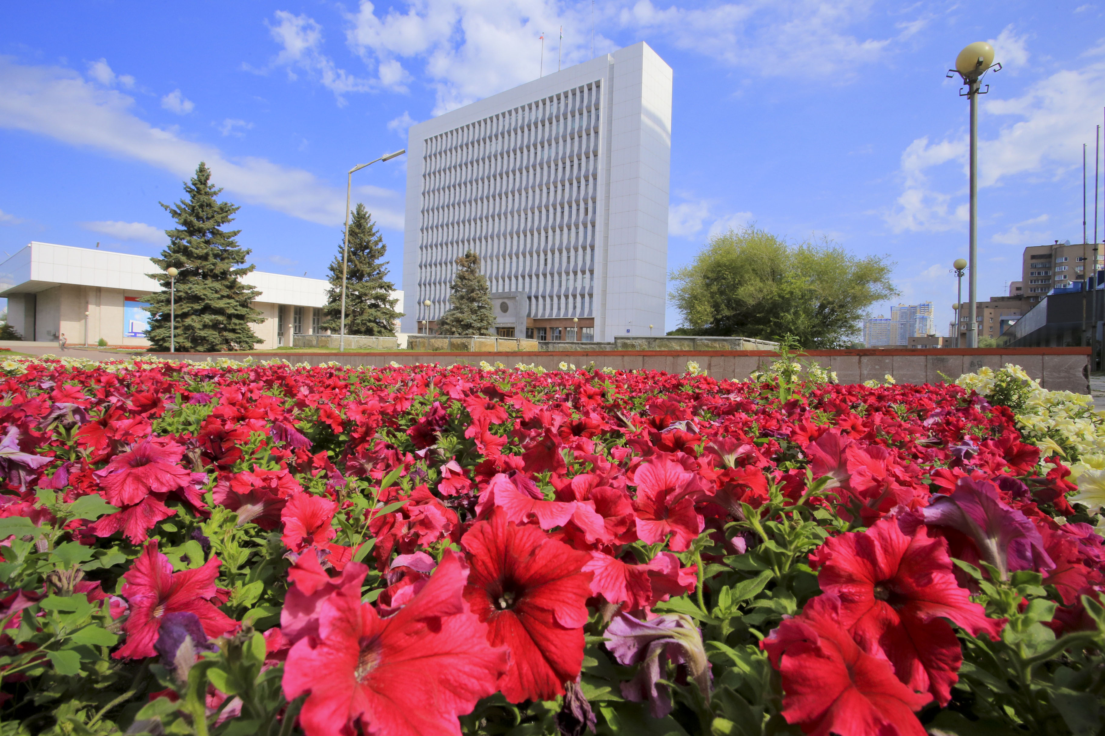 Клумба на Кирова, 3