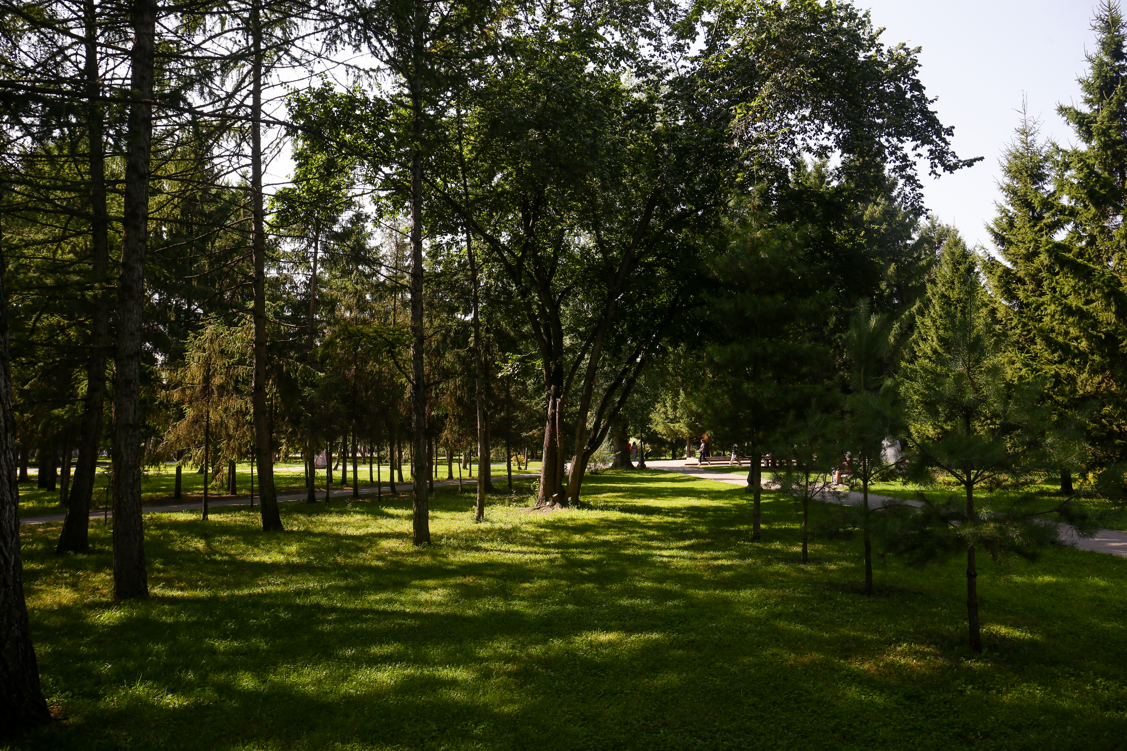 Первомайский сквер. Август 2021 года