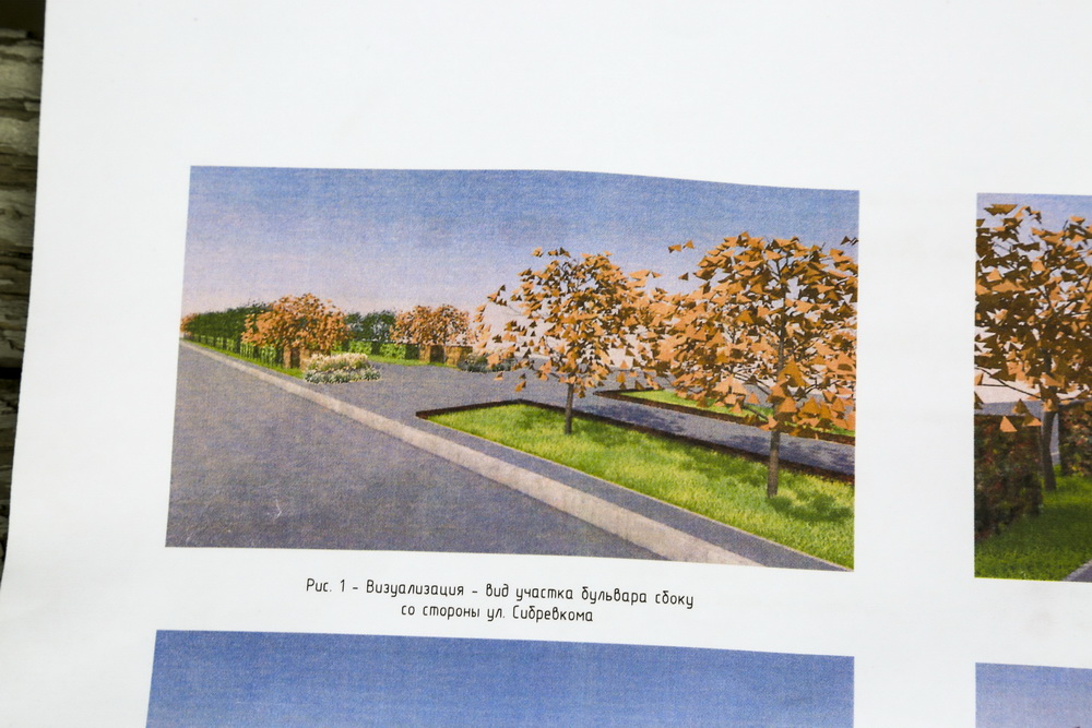 Начальник отдела сопровождения озеленения и благоустройства общественных пространств мэрии Новосибирска Светлана Гижицкая