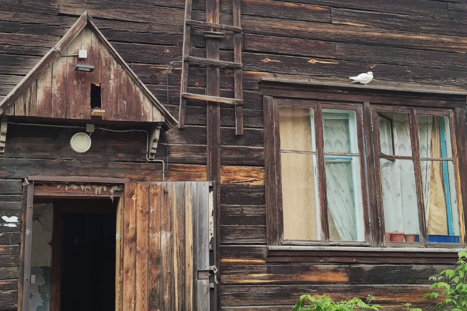 Нахаловка в наши дни