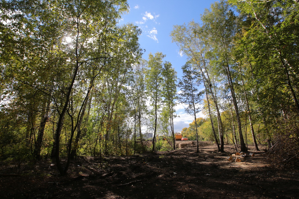 Работы по созданию парка в пойме Каменки. Сентябрь 2022 года