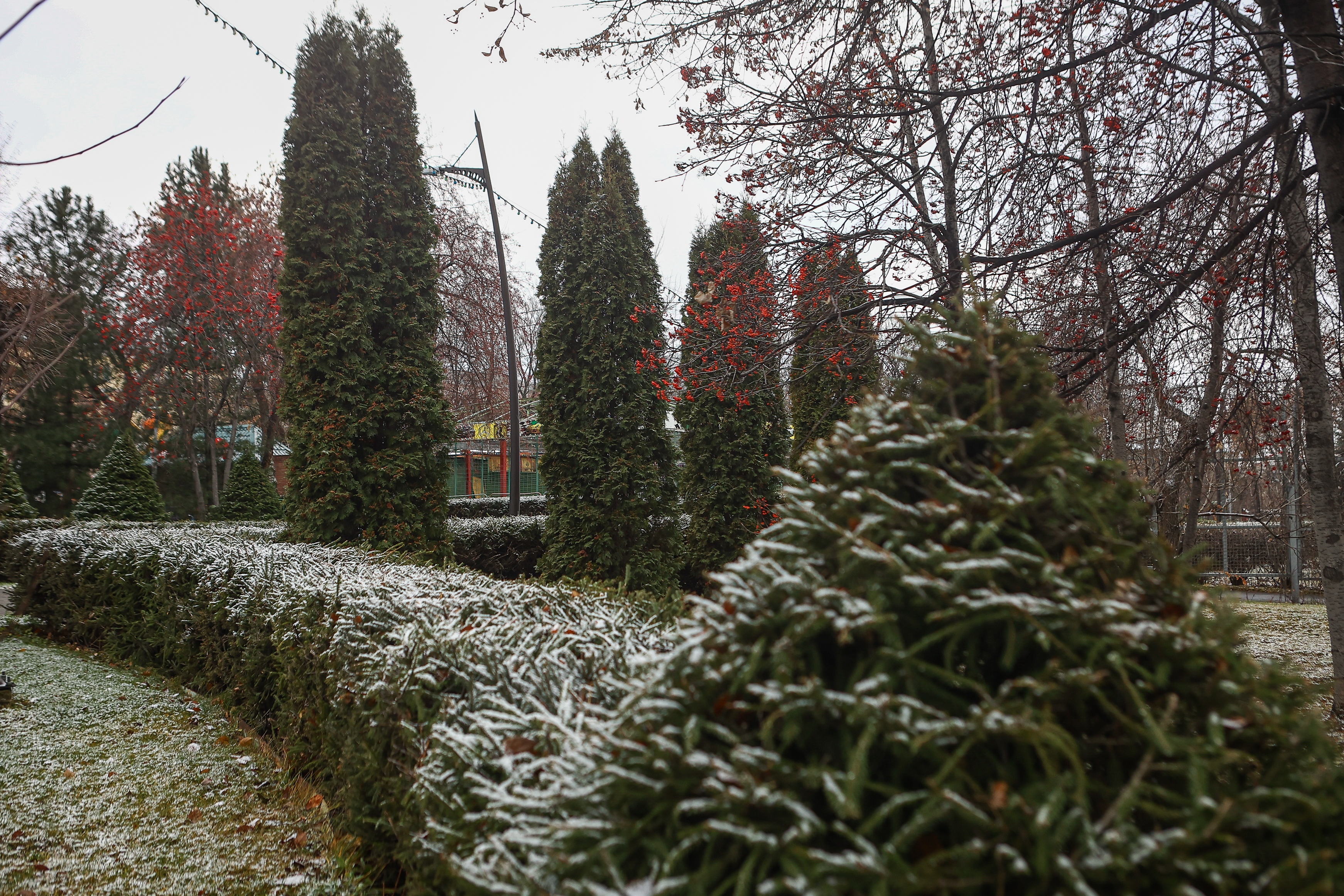 Парк имени Кирова