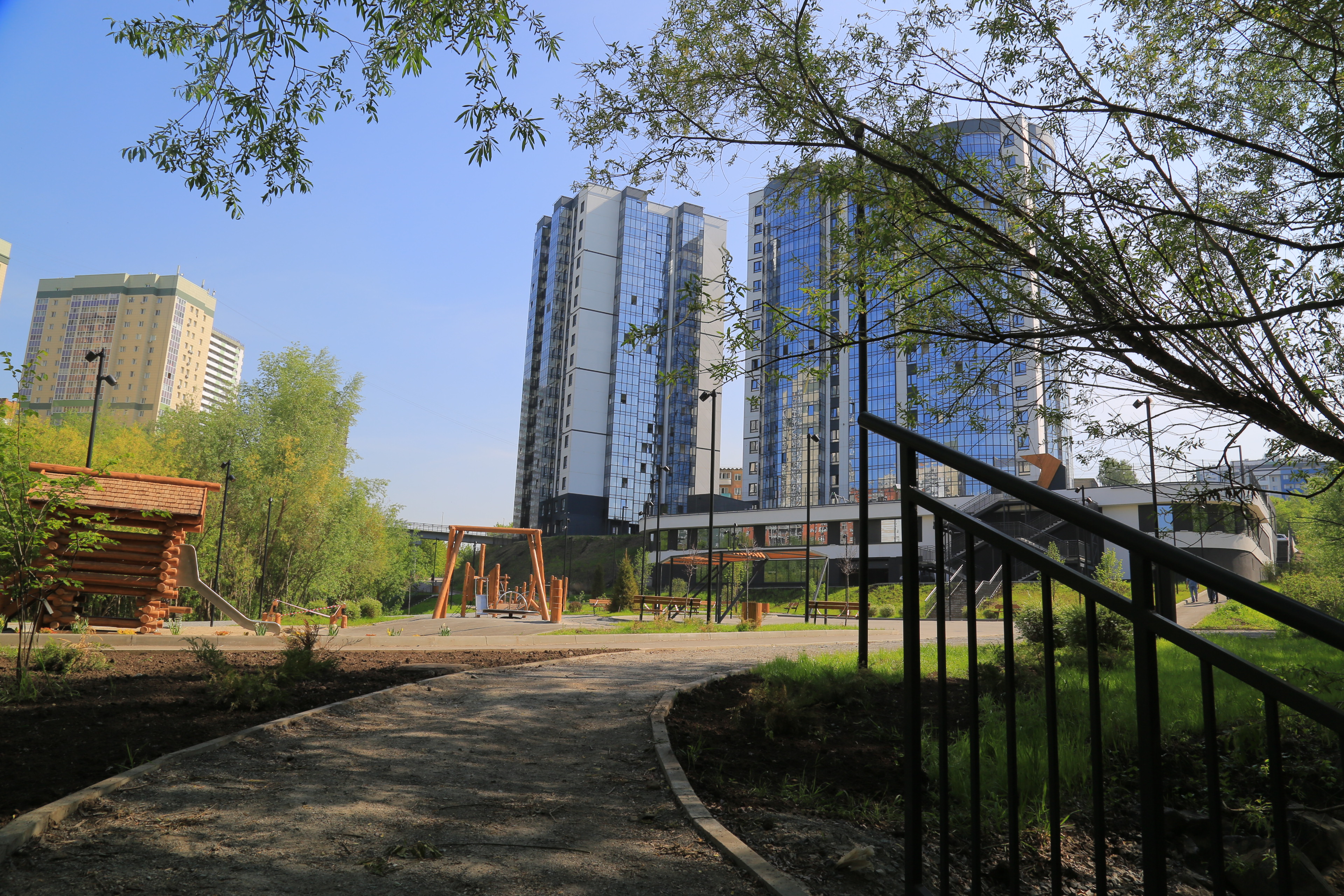 Ельцовский парк (июнь 2023 года)