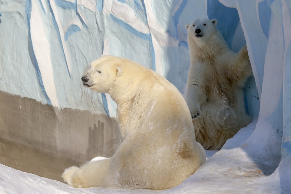 Кай и Герда после двухлетней разлуки