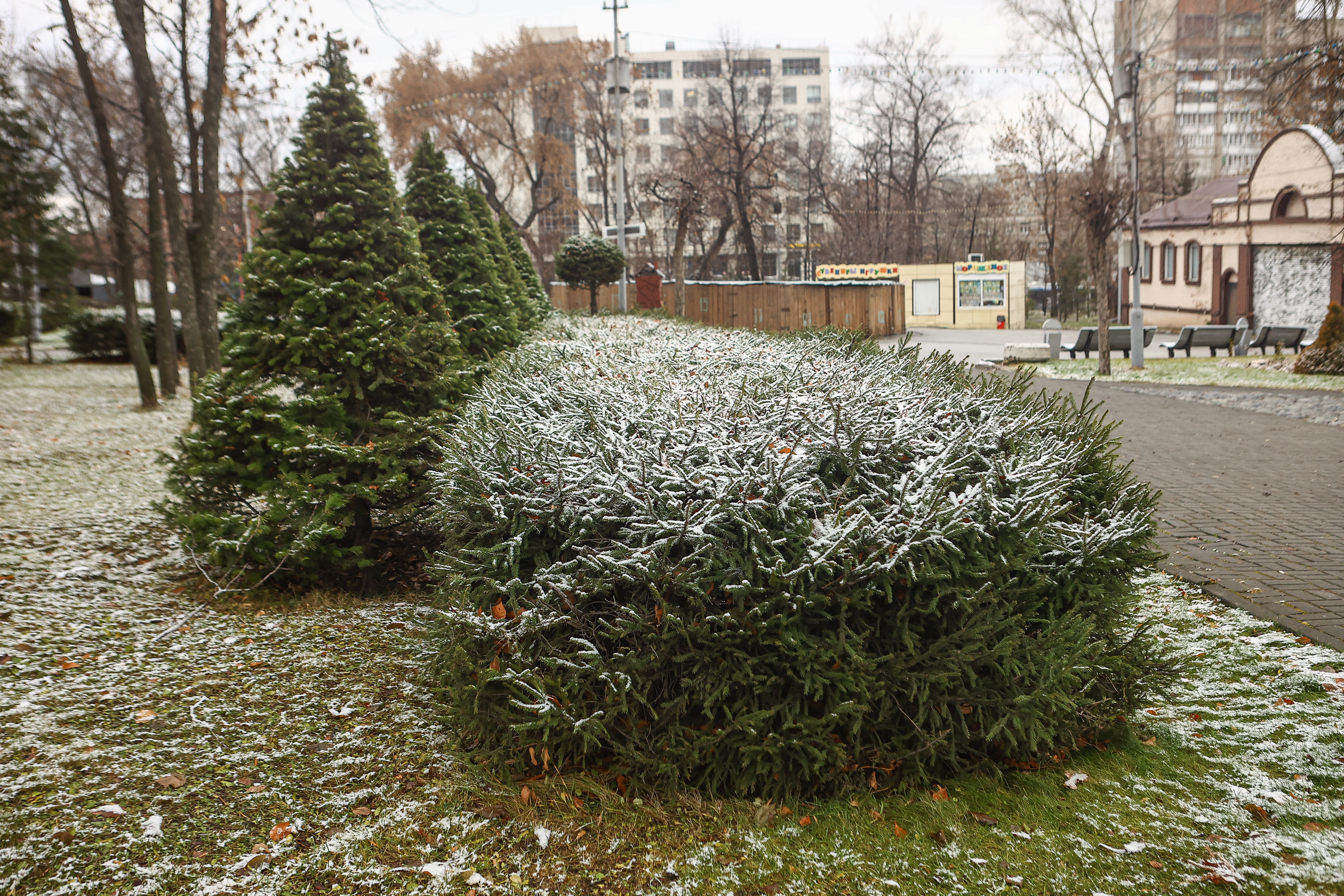 Парк имени Кирова