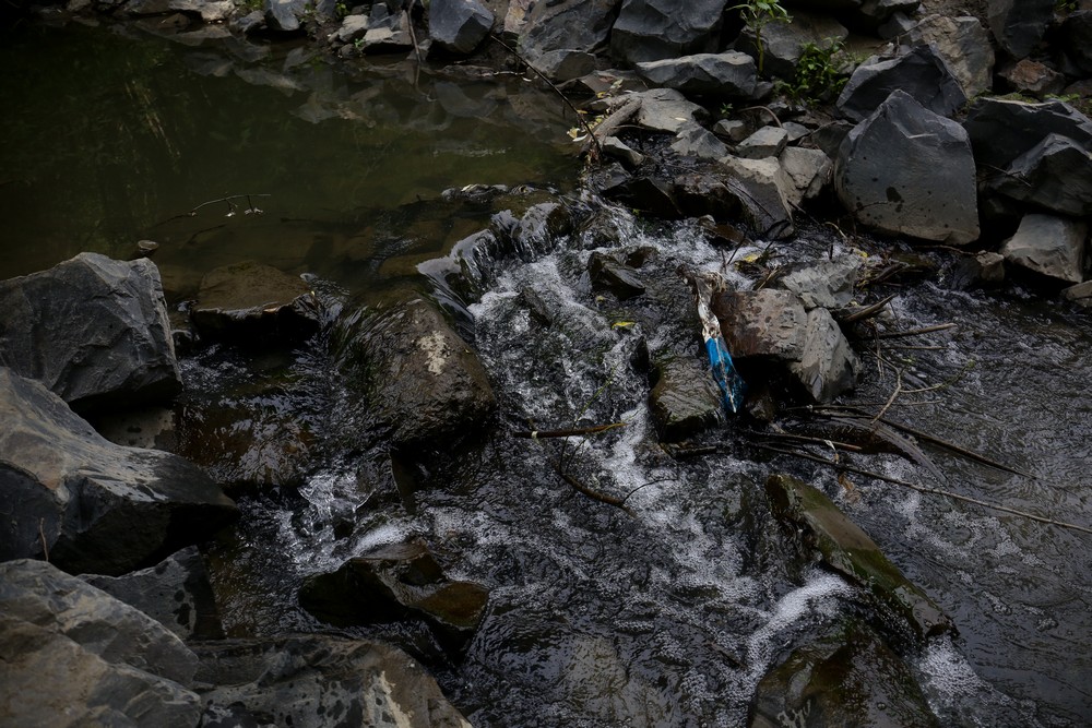 На месте будущего парка в пойме Ельцовки