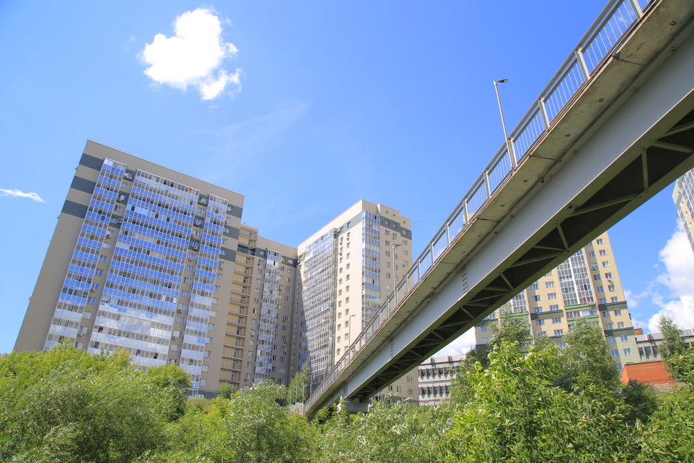 Благоустройство будущего парка в пойме Ельцовки. Июль 2022 года