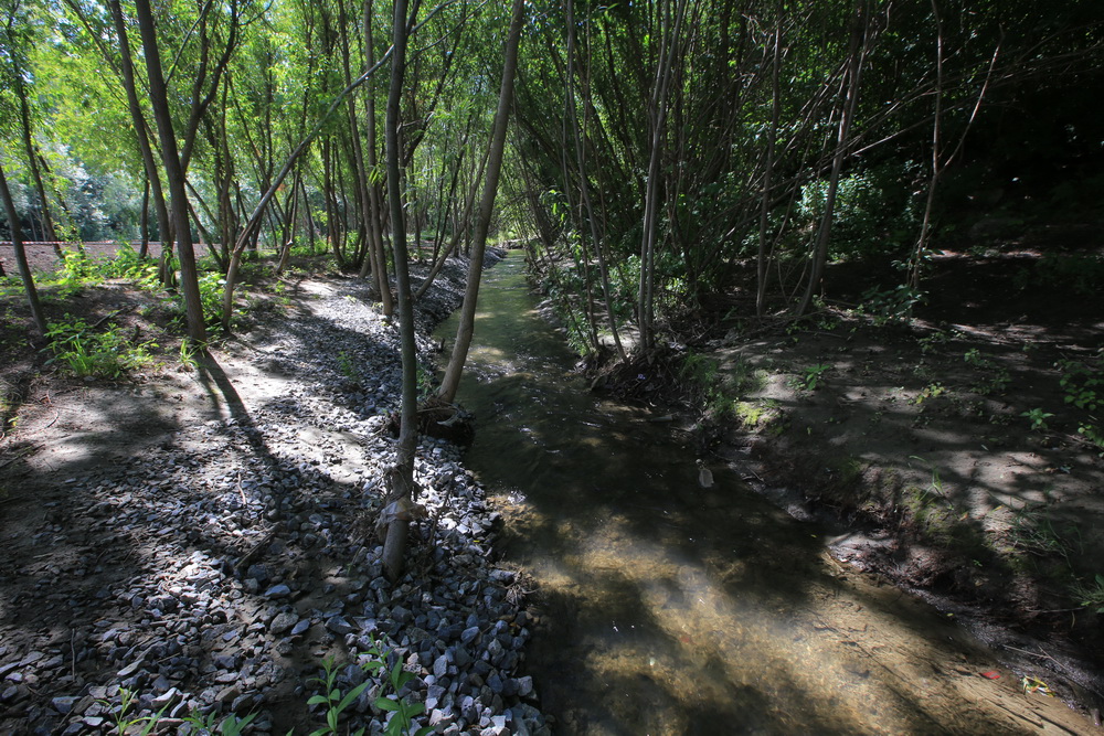 Благоустройство будущего парка в пойме Ельцовки. Июль 2022 года