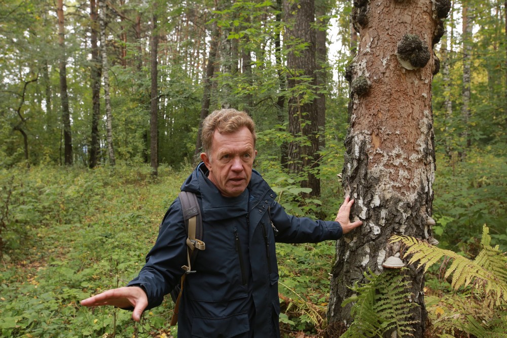 Николай Лащинский, главный научный сотрудник Центрального сибирского ботанического сада СО РАН