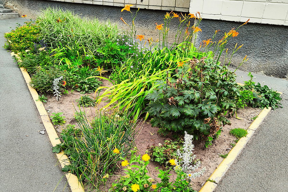 Красный проспект, 232 (Центральный округ)