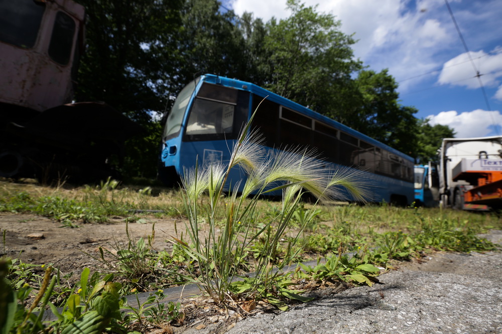 Трамваи, подаренные Новосибирску Москвой