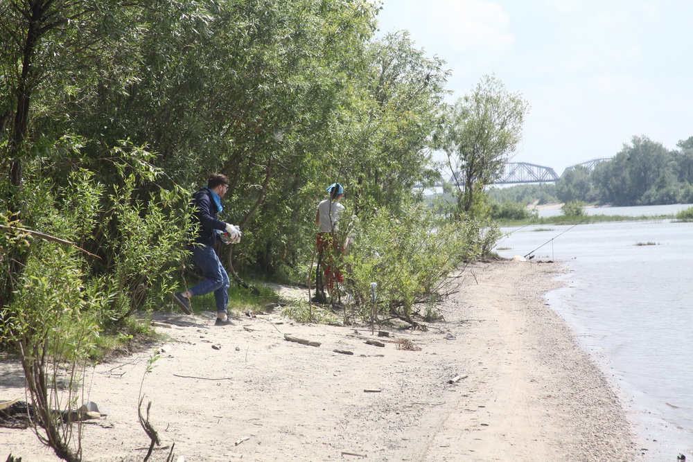 Уборка на острове Кустовой под Бугринским мостом. Июль 2022 года